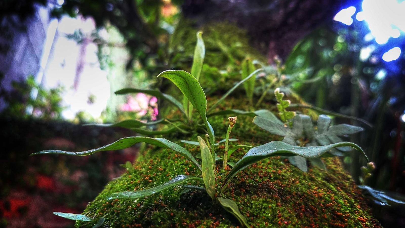 Sleep Recovery Score: Use It Without Overreacting